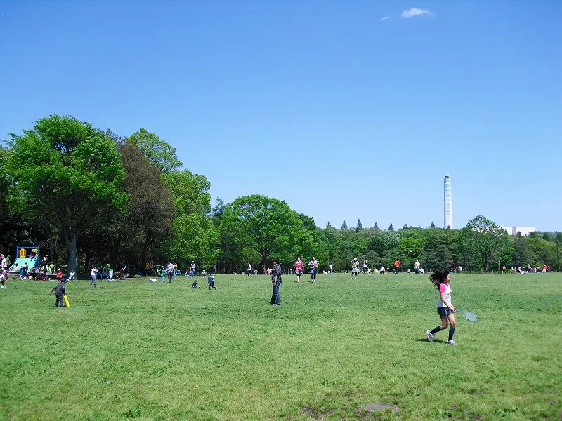 🏞️ 가나가와 현립 사가미하라 공원 이미지 5